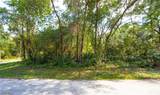  Packingham Drive - Photo 2