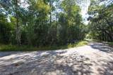 33464 Packingham Drive - Photo 3