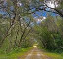 35028 Batesfield Street - Photo 3