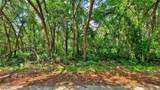 35028 Batesfield Street - Photo 5