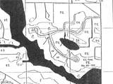 6095 Dinkins Lake Road - Photo 12
