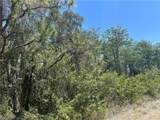 665 Knapp Street - Photo 3