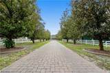 15010 Orange River Road - Photo 3