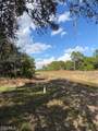 339 Western Avenue - Photo 7