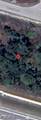 3392 Meadow Road - Photo 8
