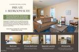 2433 Avocado Lane - Photo 8