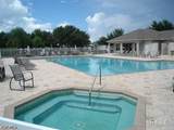 17341 Stepping Stone Drive - Photo 45