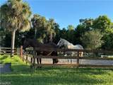 3778 Hidden Acres Circle - Photo 48