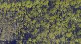 30-2S-20-33308-000-0 Long Leaf Circle - Photo 1