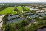 25060 Bay Cedar Drive - Photo 41