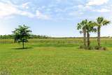20933 Napa Loop - Photo 43