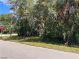26156 Hapsburg Road - Photo 5