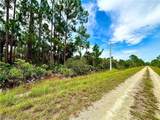 4203 27th Street - Photo 3