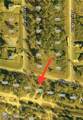 1032 Draper Street - Photo 6