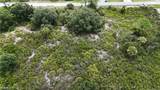 1321 Hibiscus Avenue - Photo 4
