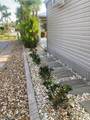 10309 Fire Flag Trail - Photo 19