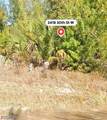 3418 30th Street - Photo 4