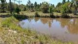 50078 Bermont Road - Photo 47