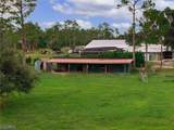 20401 Pearce Street - Photo 41
