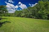 15136 Yellow Wood Drive - Photo 11