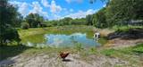 20101 Huffmaster Road - Photo 14