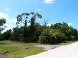 3615 Papaya Street - Photo 4
