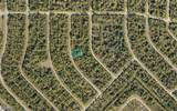 1125232808 Breadnut Street - Photo 3