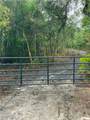 8115 Shasta Street - Photo 10