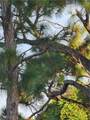 3853 Citrus Street - Photo 4