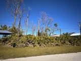 3854 Papaya Street - Photo 1