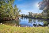 907 Big Pine Way - Photo 47