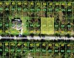 26232 Deer Road - Photo 1