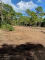 8756 Nome Court - Photo 4