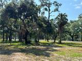 500 Avalon Avenue - Photo 3
