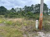 650 Knapp Street - Photo 3