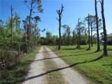 8721 Nome Court - Photo 1