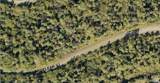 1127226126 Largeleaf Street - Photo 1