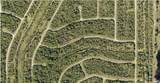 1127226126 Largeleaf Street - Photo 2