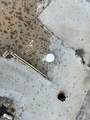 19681 Summerlin Rd. C-358 - Photo 4