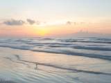 2702 1st Terrace - Photo 46