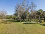 2245 Scott Road - Photo 31