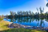 16181 Amberwood Lake Court - Photo 4