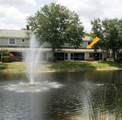 10061 Poppy Hill Drive - Photo 9