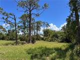 3728 Mango Street - Photo 4