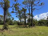 3728 Mango Street - Photo 5