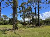 3728 Mango Street - Photo 6