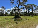 3728 Mango Street - Photo 7