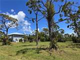 3728 Mango Street - Photo 8