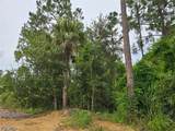 11921 Vista Ridge Drive - Photo 10