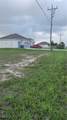 3520 Old Burnt Store Road - Photo 4